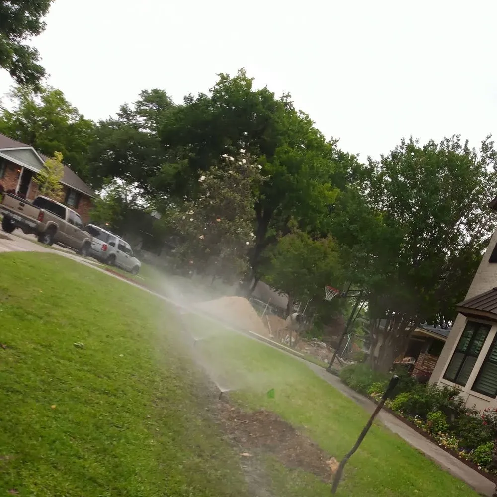 Expert lawn care service experts serving Dallas, TX - Frank Irrigation & Landscaping