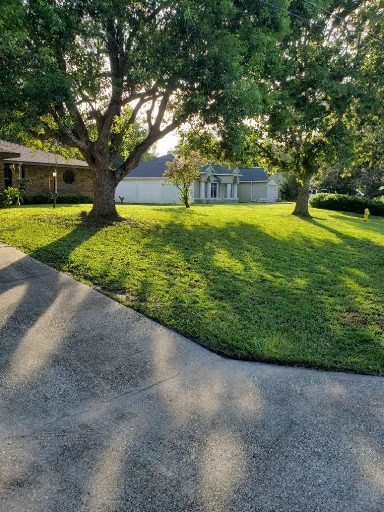 Reliable landscape design in Deltona, FL - Frank JR'S Lawn Service