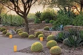 Local lawn mowing service near you across Glendale, AZ - Frank Landscapes