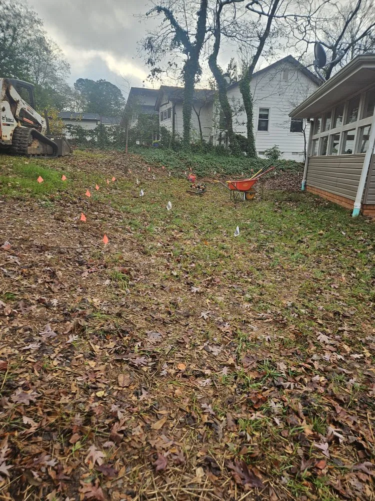 Expert lawn care service in Greenville, SC by Frank Landscaping