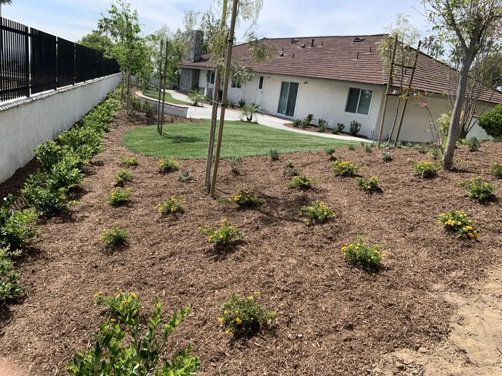 Top-rated yard maintenance in Riverside, CA by Frank landscaping
