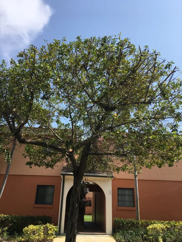 Reliable landscape design near you in Boynton Beach, FL by Frank Lawn Service and Project Landscape