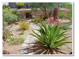 Custom lawn care service in Lancaster, CA by Frank Mattison Landscape