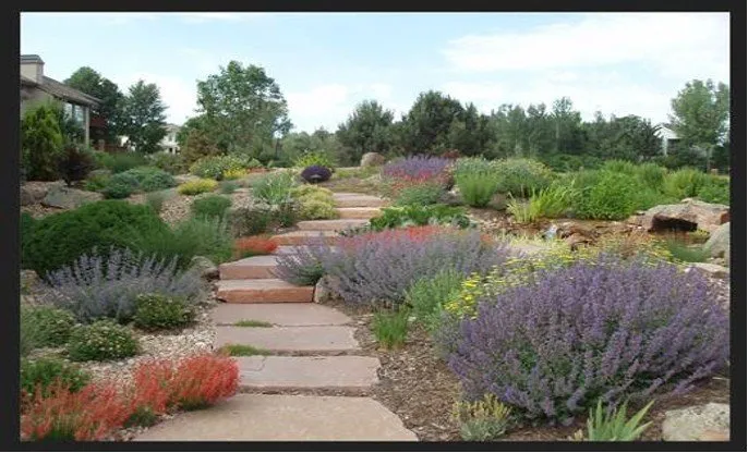 Custom landscaping services in Lancaster, CA - Frank Mattison Landscape