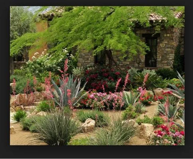 Reliable landscaping services experts serving Lancaster, CA - Frank Mattison Landscape