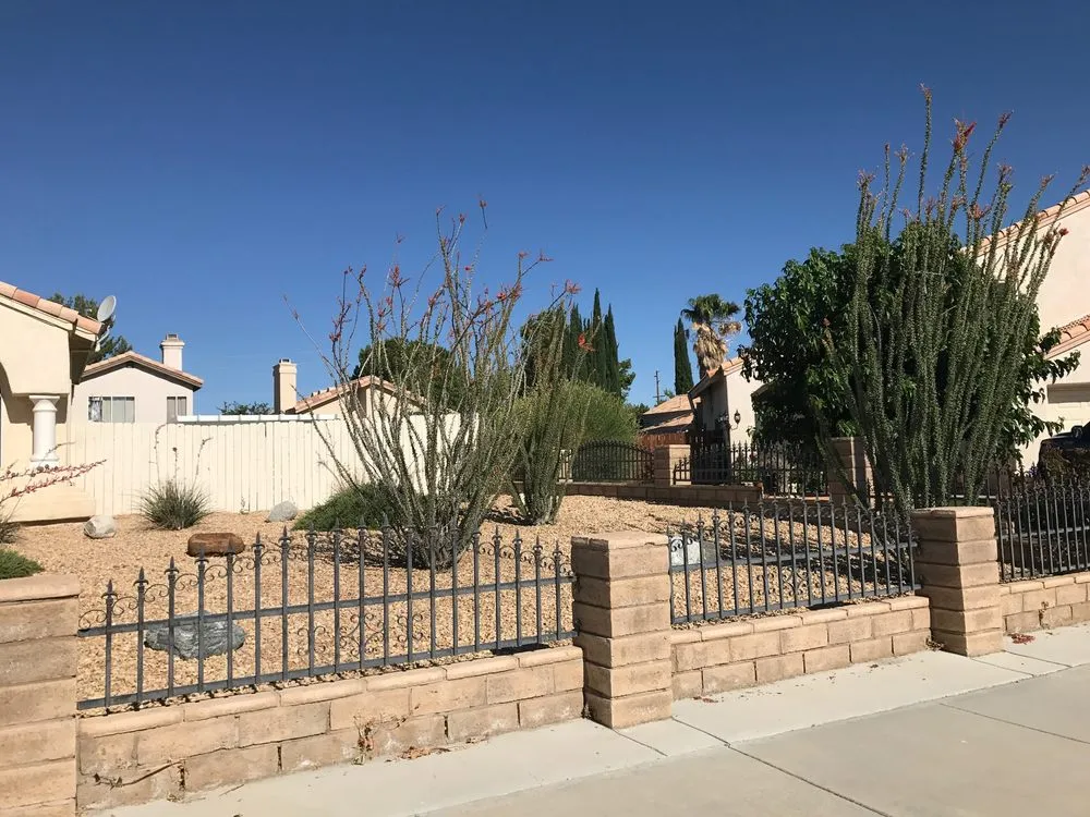 Expert lawn care service for beautiful yards across Lancaster, CA - Frank Mattison Landscape