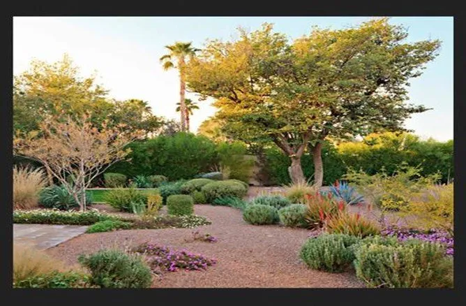 Custom yard cleanup service in Lancaster, CA by Frank Mattison Landscape