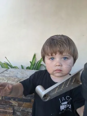 Frank Mattison Landscape