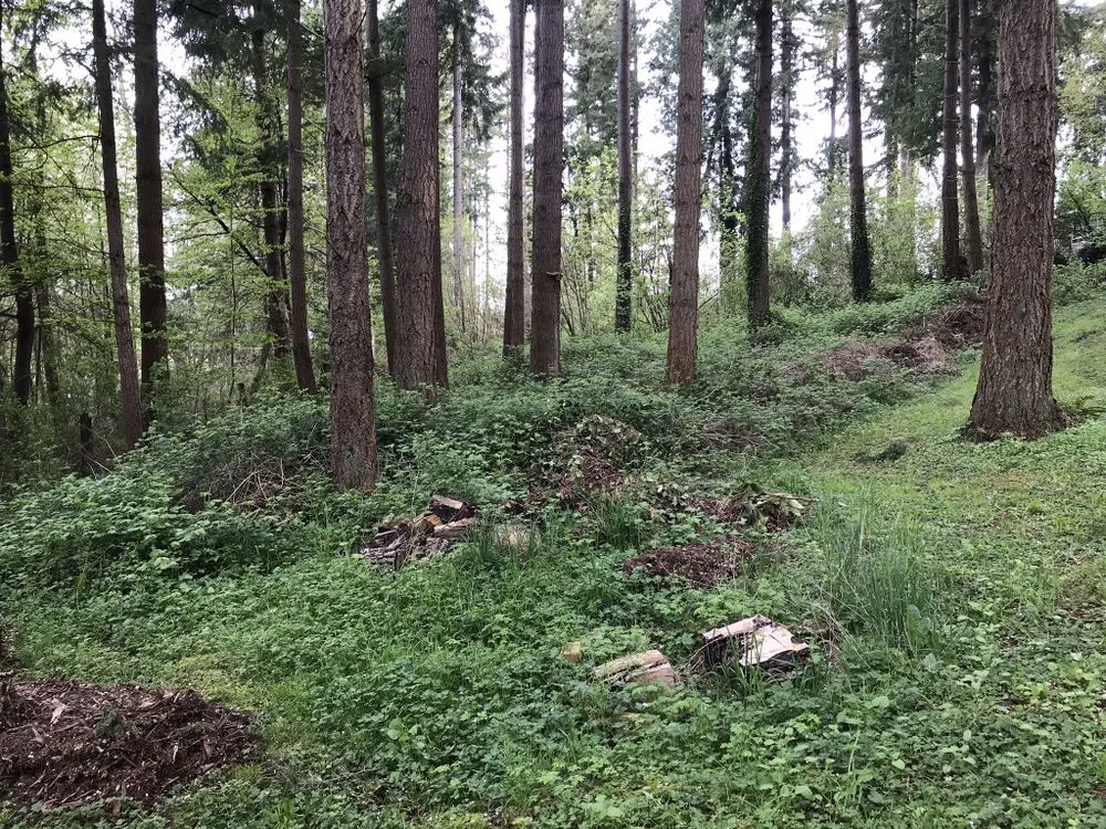 Custom outdoor landscaping for homes across Tacoma, WA - Frank n’ Son’s Mobile Welding