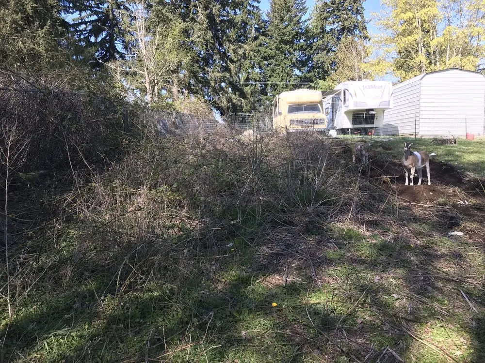 Local outdoor landscaping experts serving Tacoma, WA - Frank n’ Son’s Mobile Welding