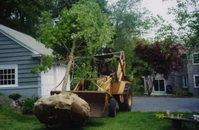 Professional residential landscaping in Hartford, CT - Frank Pappa & Sons Landscaping Service