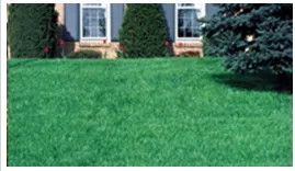 Local garden landscaping in North Wales, PA by Frank Propato Landscaping