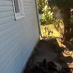 Expert landscaping services experts serving Corning, NY - Frankel's Yard & Odd Jobs