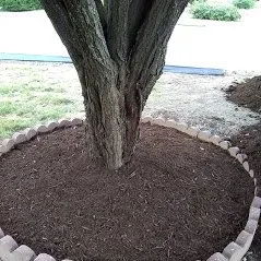 Local landscaping services for year-round maintenance in Corning, NY by Frankel's Yard & Odd Jobs