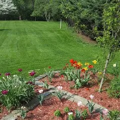 Affordable lawn mowing service for year-round maintenance across Corning, NY - Frankel's Yard & Odd Jobs