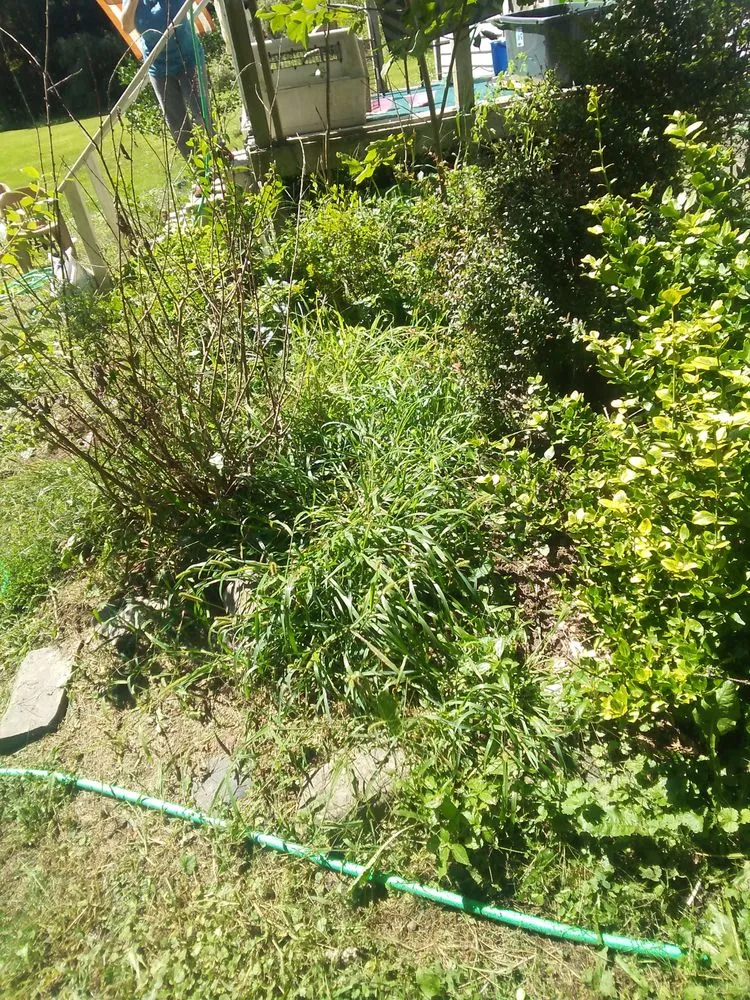 Professional garden landscaping in Corning, NY - Frankel's Yard & Odd Jobs