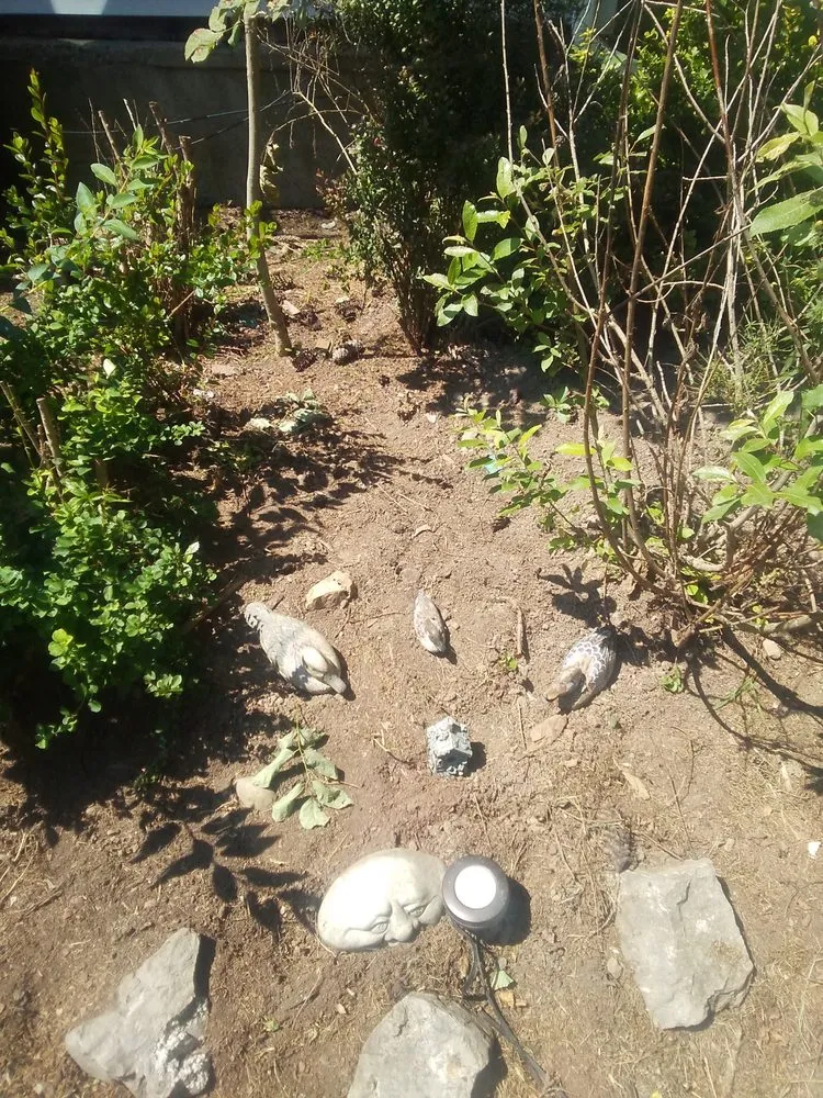 Professional landscape installation near you across Corning, NY - Frankel's Yard & Odd Jobs