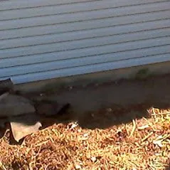 Professional lawn mowing service for beautiful yards across Corning, NY - Frankel's Yard & Odd Jobs