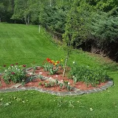 Reliable yard cleanup service in Corning, NY - Frankel's Yard & Odd Jobs