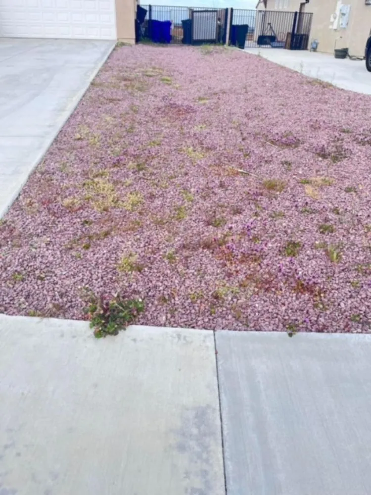 Top-rated landscape installation experts serving Hesperia, CA - Franken’s Landscaping