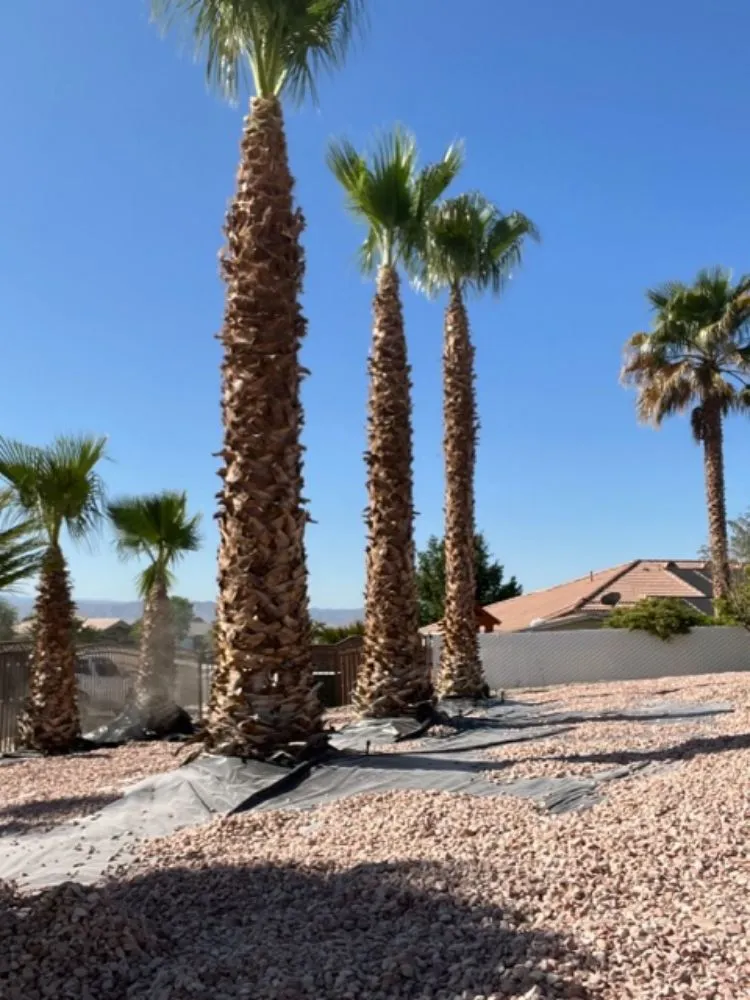 Trusted outdoor landscaping in Hesperia, CA by Franken’s Landscaping