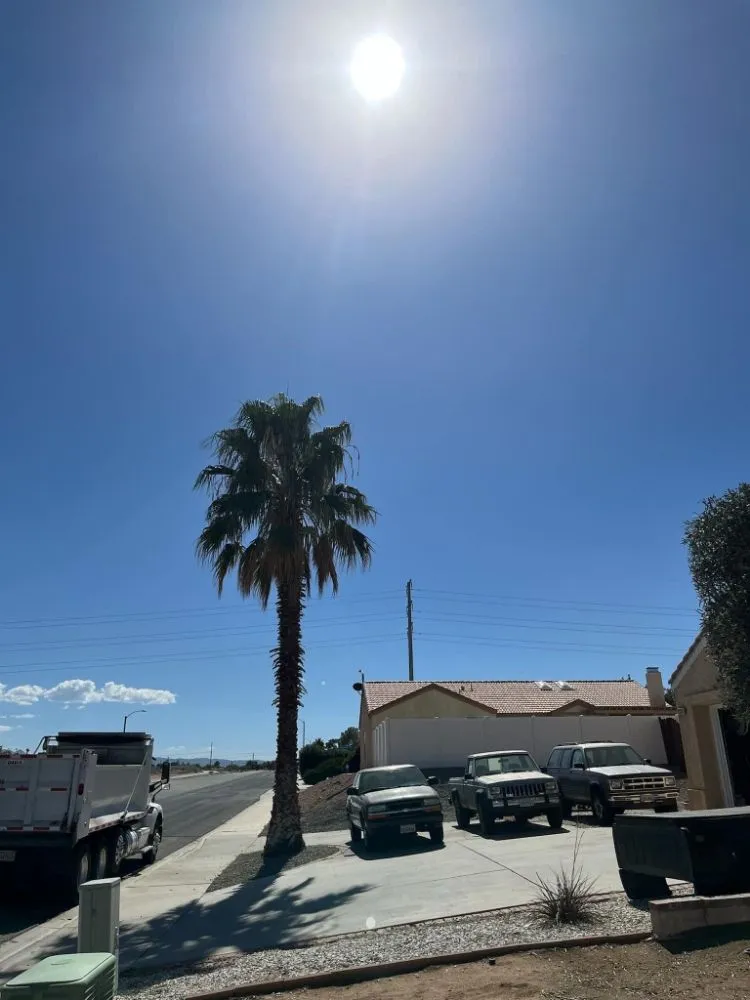 Expert landscape design in Hesperia, CA by Franken’s Landscaping