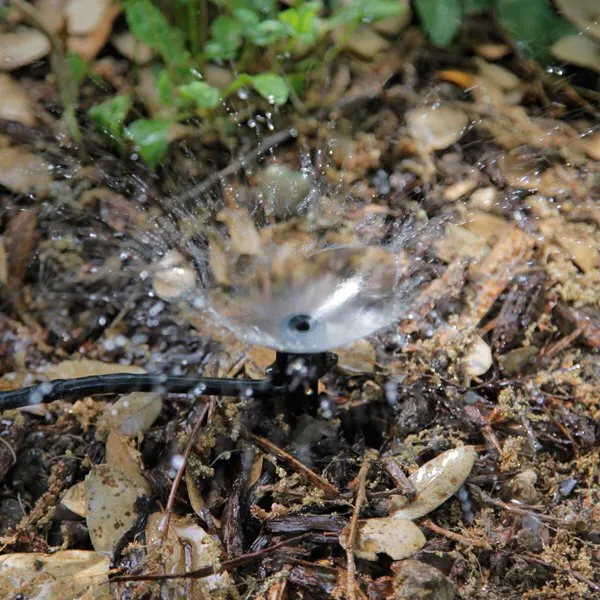 Local lawn care service in Reno, NV - Frankenstein Handyman Solutions