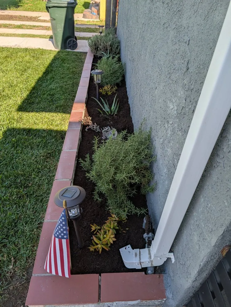 Professional lawn mowing service for homes across Anaheim, CA - Frankies Landscape & Maintenance