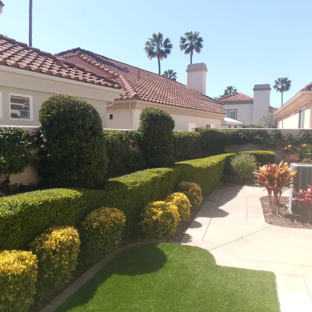 Local yard maintenance for residential properties in Anaheim, CA by Frankies Landscape & Maintenance