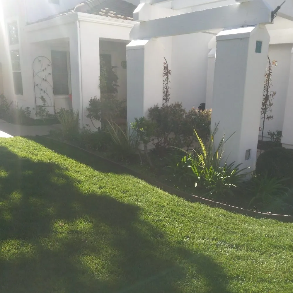 Professional yard maintenance for homes across Anaheim, CA - Frankies Landscape & Maintenance