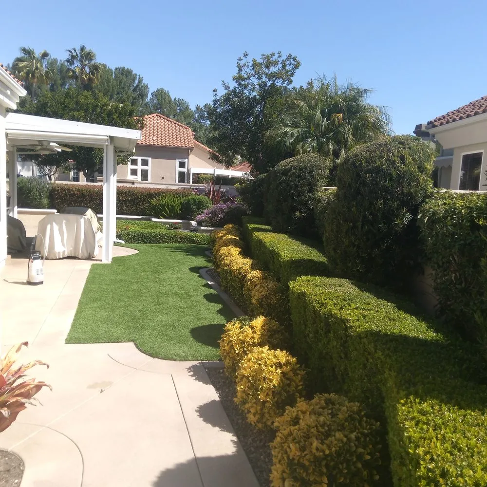 Reliable lawn mowing service in Anaheim, CA - Frankies Landscape & Maintenance