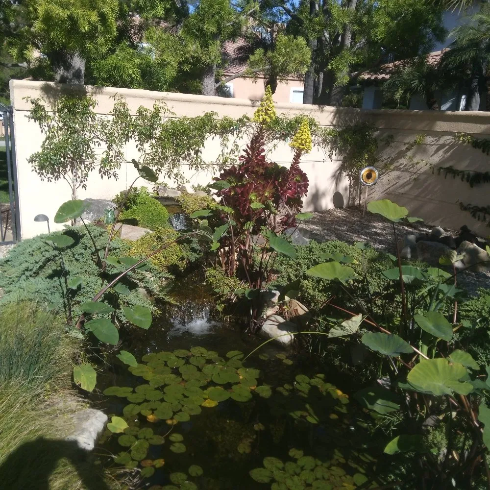 Trusted residential landscaping near you across Anaheim, CA - Frankies Landscape & Maintenance