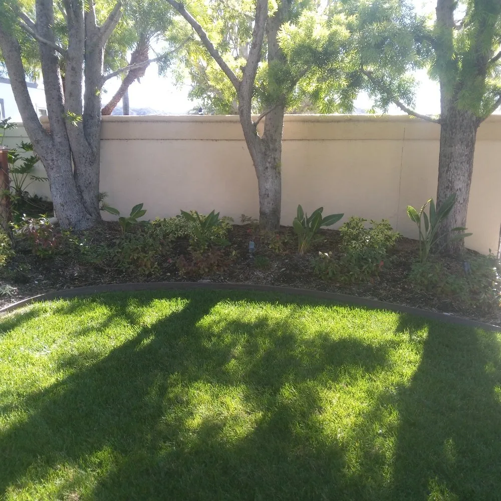 Professional lawn mowing service near you in Anaheim, CA by Frankies Landscape & Maintenance