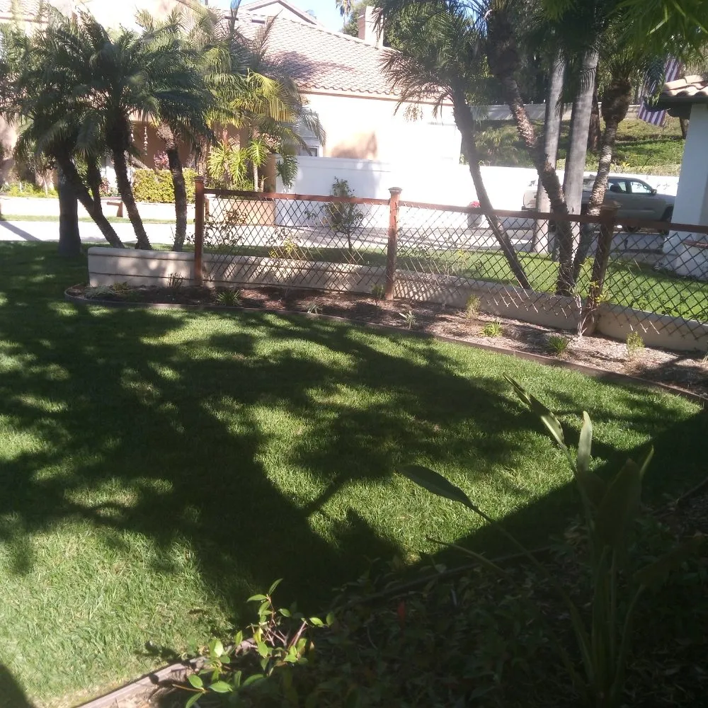 Top-rated landscaping services in Anaheim, CA - Frankies Landscape & Maintenance