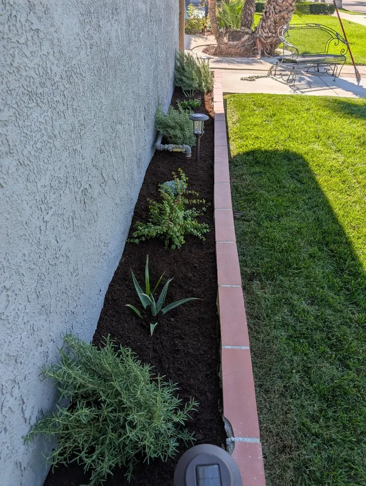 Local landscape design in Anaheim, CA - Frankies Landscape & Maintenance