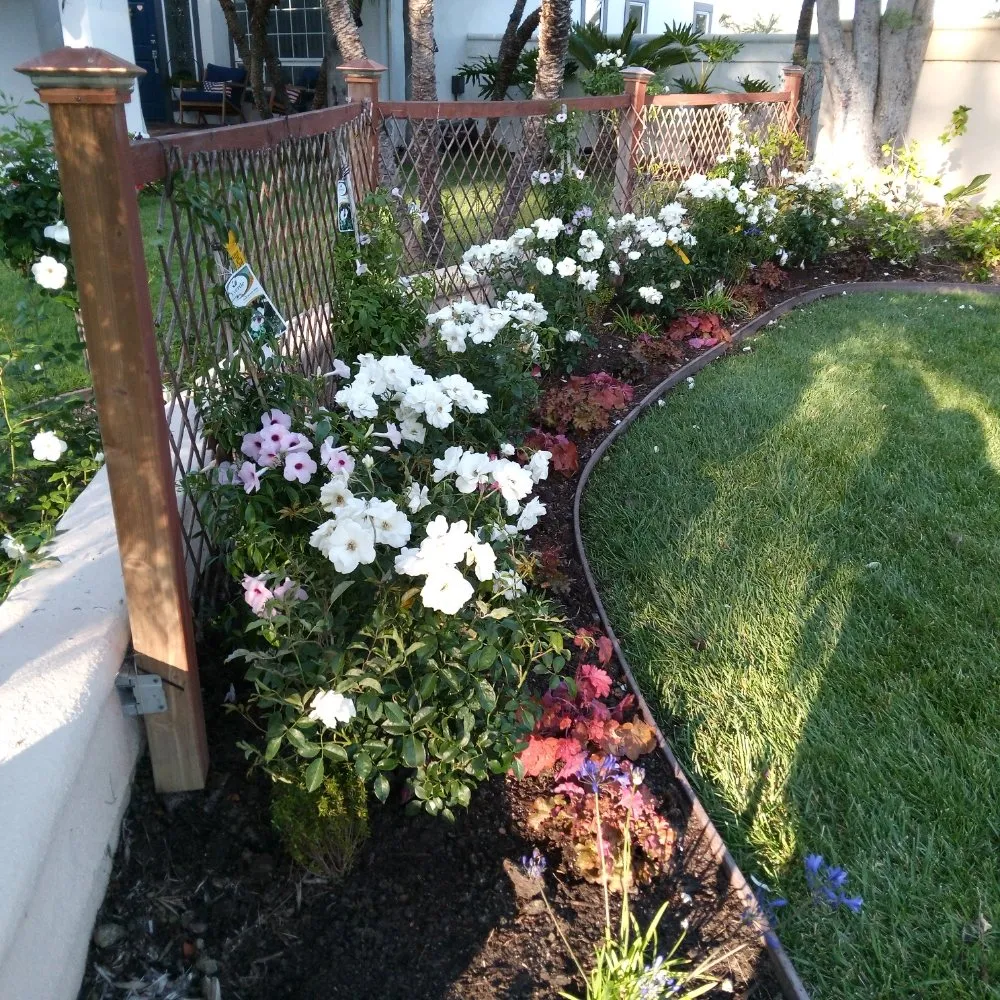 Trusted landscape design for beautiful yards across Anaheim, CA - Frankies Landscape & Maintenance