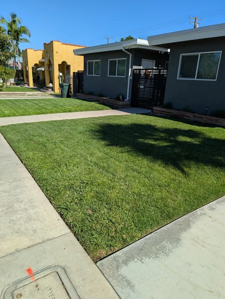 Custom garden landscaping near you in Anaheim, CA by Frankies Landscape & Maintenance