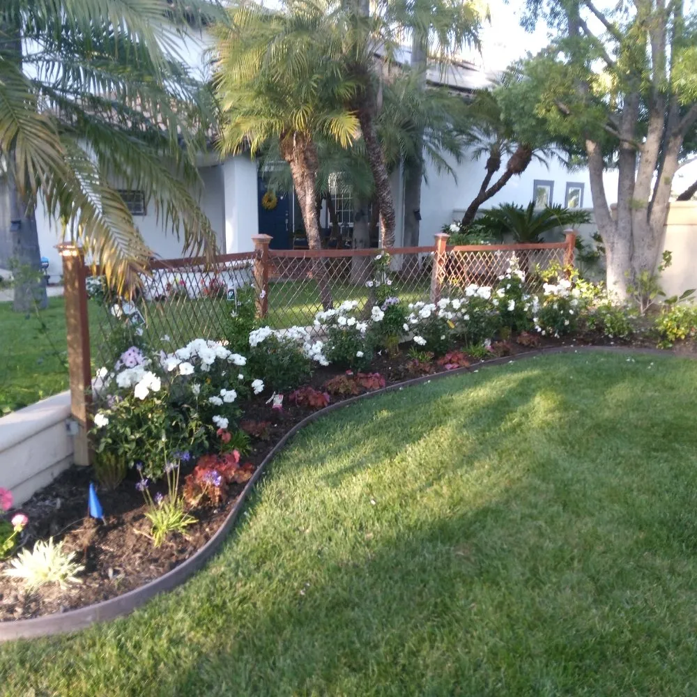 Top-rated landscape design in Anaheim, CA by Frankies Landscape & Maintenance