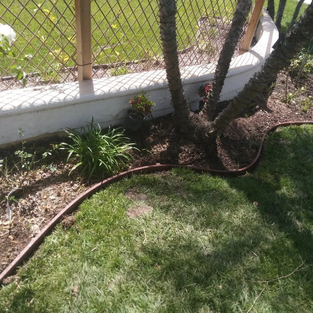 Professional landscaping services with custom design in Anaheim, CA by Frankies Landscape & Maintenance