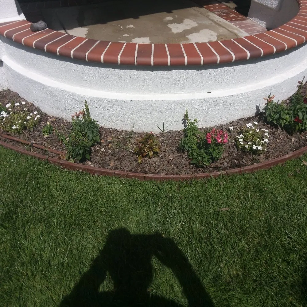 Professional landscape design in Anaheim, CA by Frankies Landscape & Maintenance