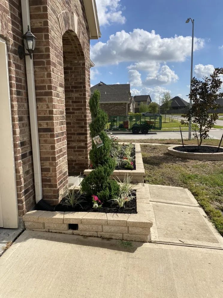 Local yard maintenance experts serving Houston, TX - Frankies landscape
