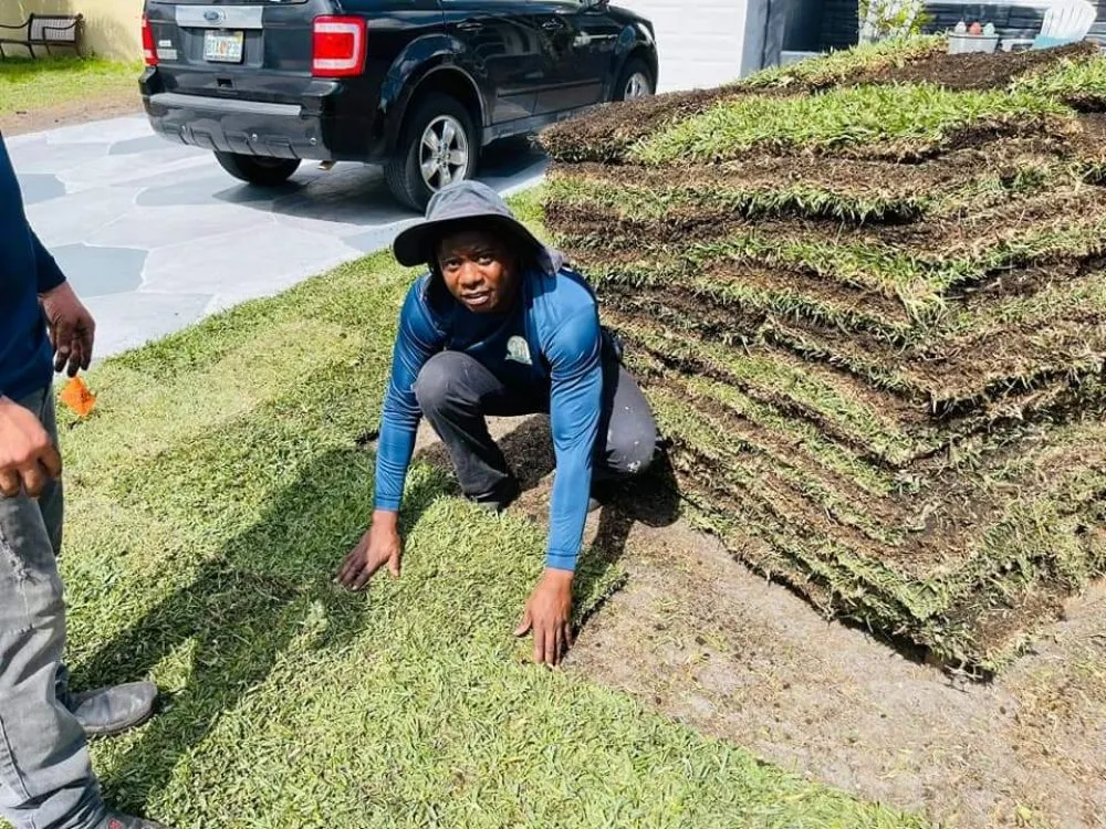 Expert yard cleanup service experts serving Margate, FL - Frankie's Landscaping Property Services