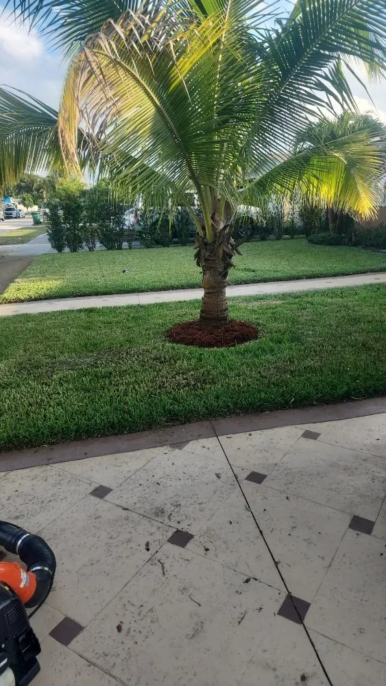 Local residential landscaping in Margate, FL by Frankie's Landscaping Property Services