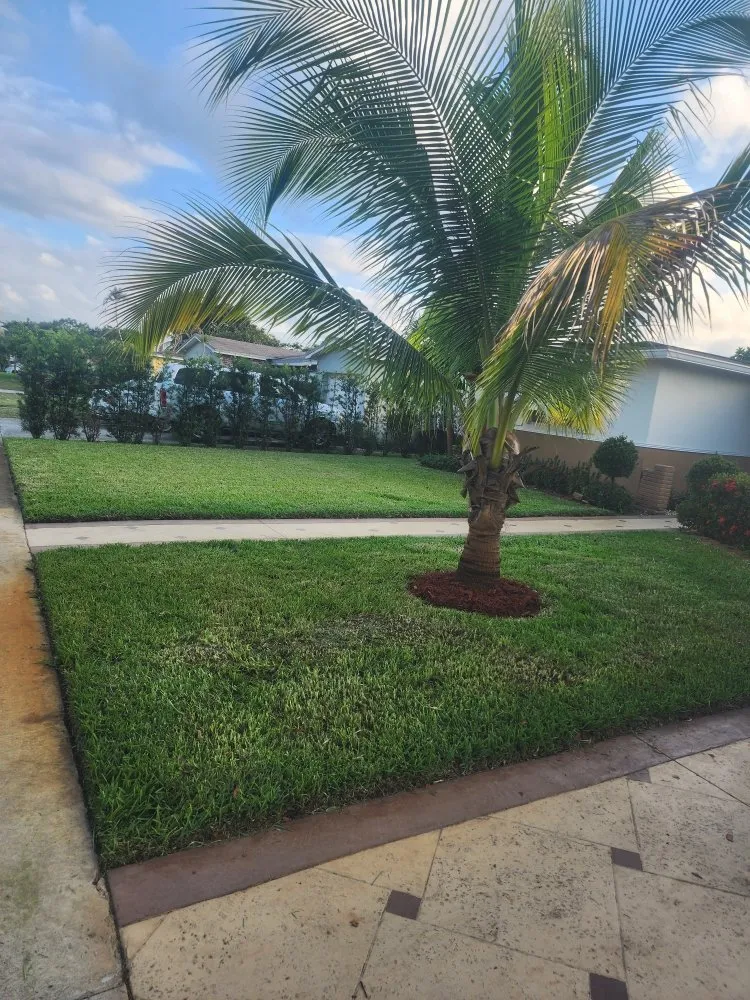 Custom landscaping services experts serving Margate, FL - Frankie's Landscaping Property Services