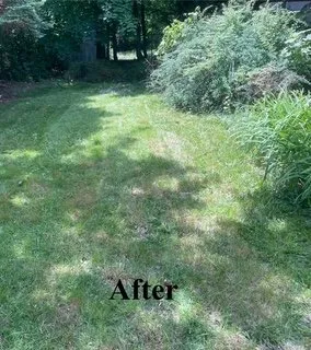 Professional residential landscaping experts serving Wayne, NJ - Frankies Landscaping Service