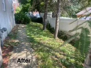 Top-rated landscaping services for beautiful yards in Wayne, NJ by Frankies Landscaping Service