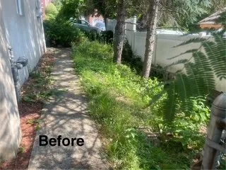 Custom landscape installation in Wayne, NJ by Frankies Landscaping Service