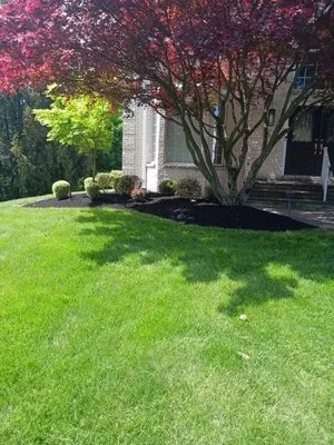 Frankie's Lawn & Tree Care Logo