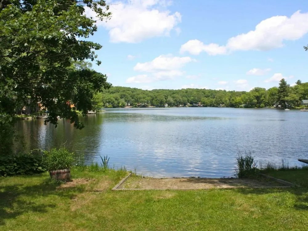 Affordable residential landscaping experts serving Umatilla, FL - Franklin & Sons Pressure Washing