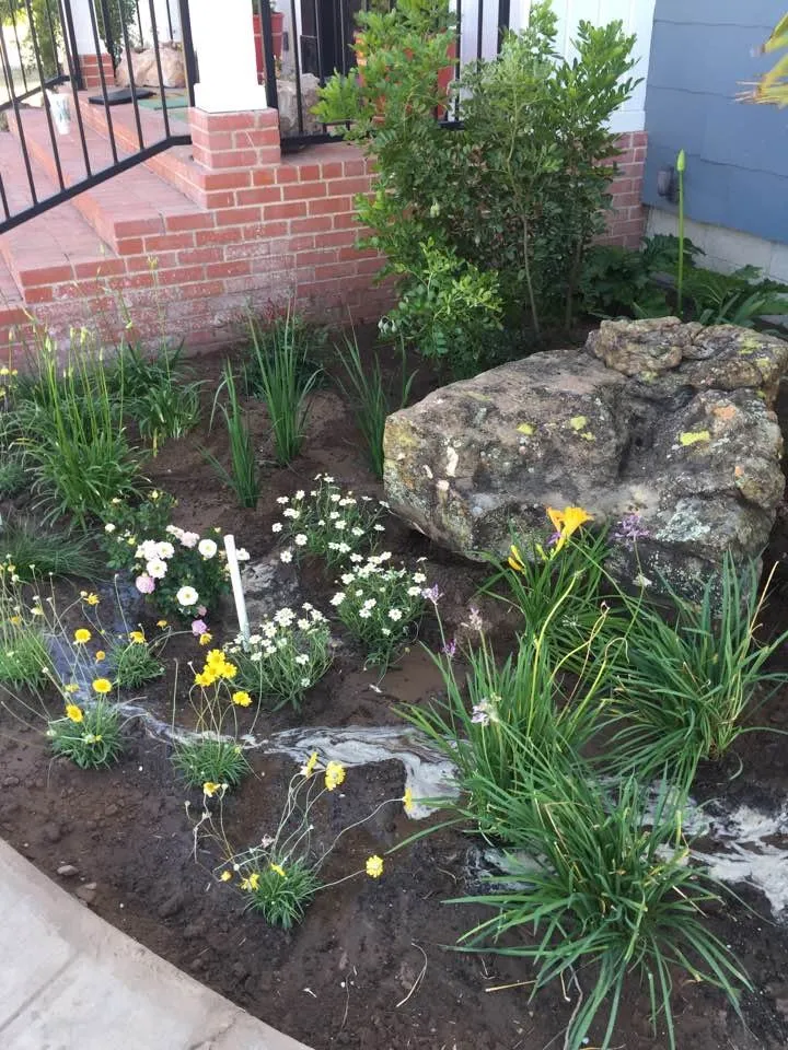 Trusted garden landscaping in Midland, TX - Franklin Foliage & Landscaping